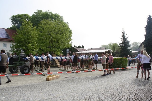 Maibaum 2013